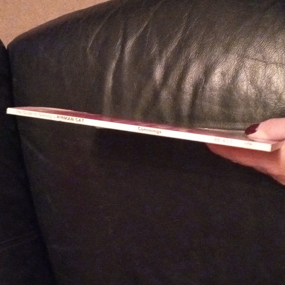 Book on Birman Cats - Picture 3 of 4